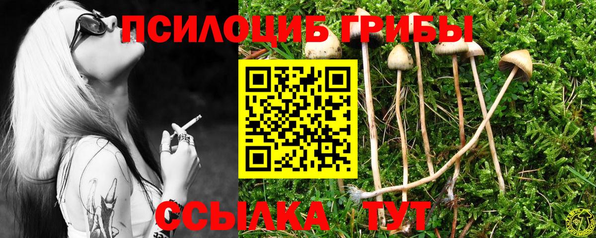 Галлюциногенные грибы GOLDEN TEACHER Дзержинск